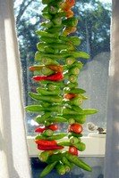 Drying chillies