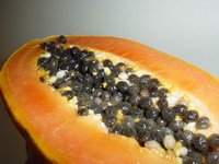Growing Papaya Seeds