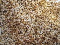 Popping Amaranth