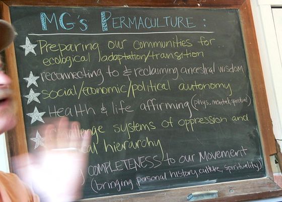 Permaculture Principles